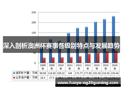 深入剖析澳洲杯赛事各级别特点与发展趋势