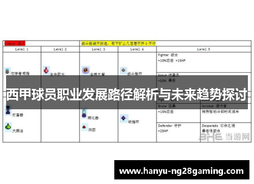 西甲球员职业发展路径解析与未来趋势探讨