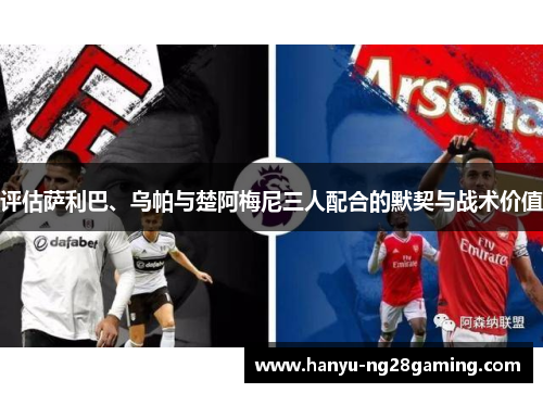 评估萨利巴、乌帕与楚阿梅尼三人配合的默契与战术价值