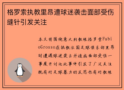 格罗索执教里昂遭球迷袭击面部受伤缝针引发关注